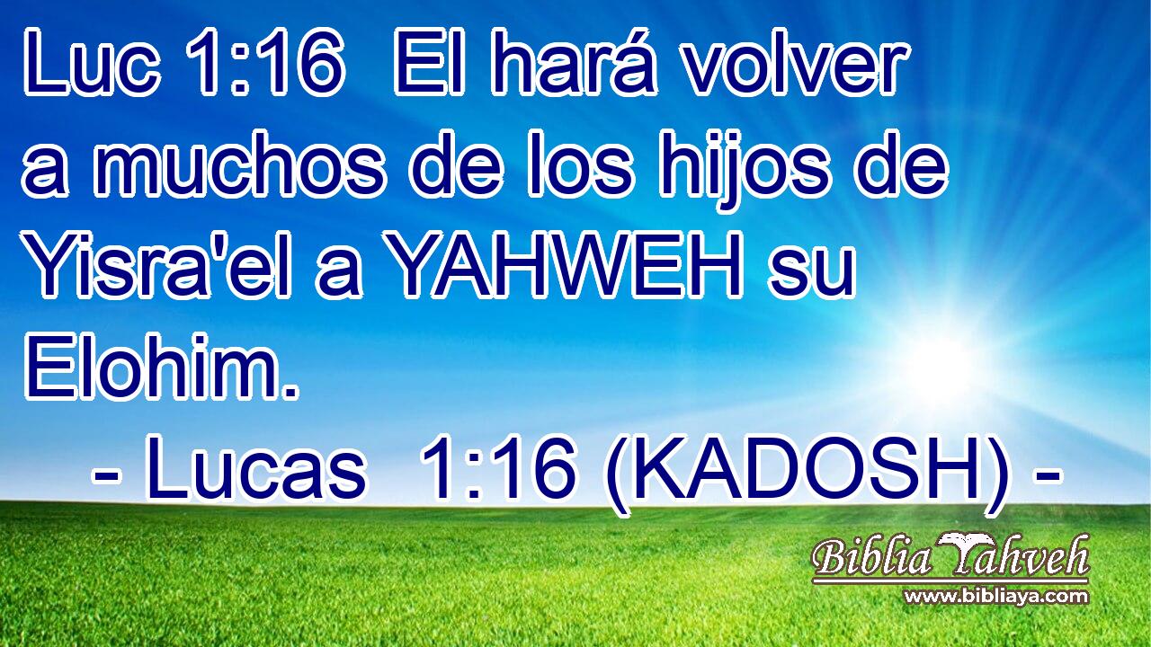  El hará volver a muchos de los hijos de Yisra'el a YAHWEH su Elohim. 