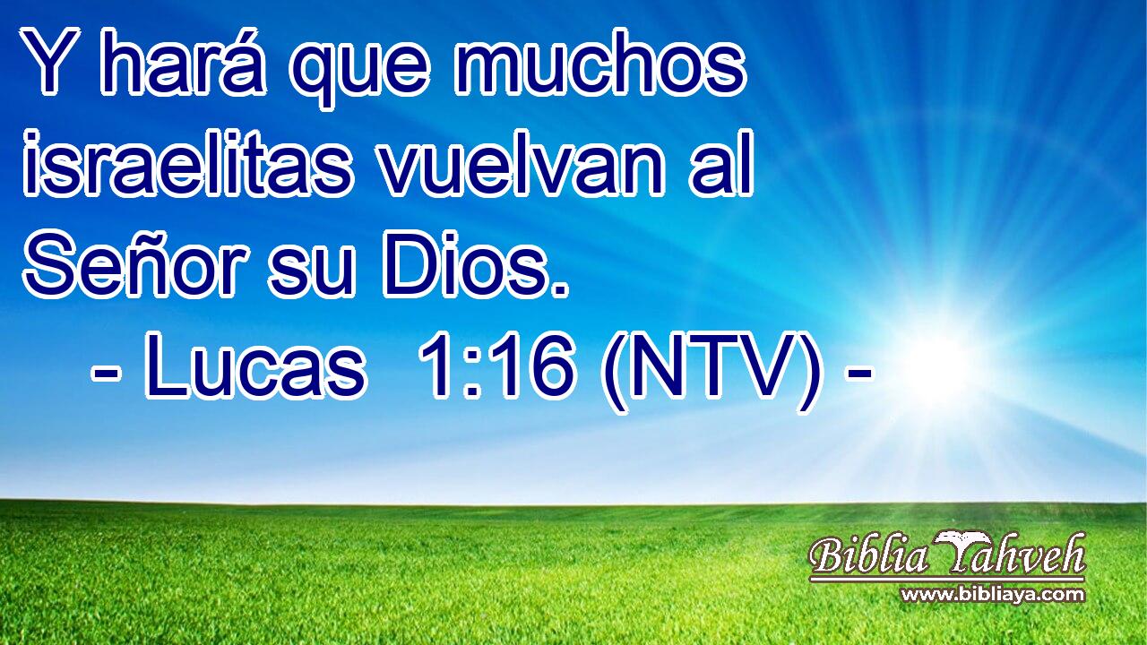 Y hará que muchos israelitas vuelvan al Señor su Dios.