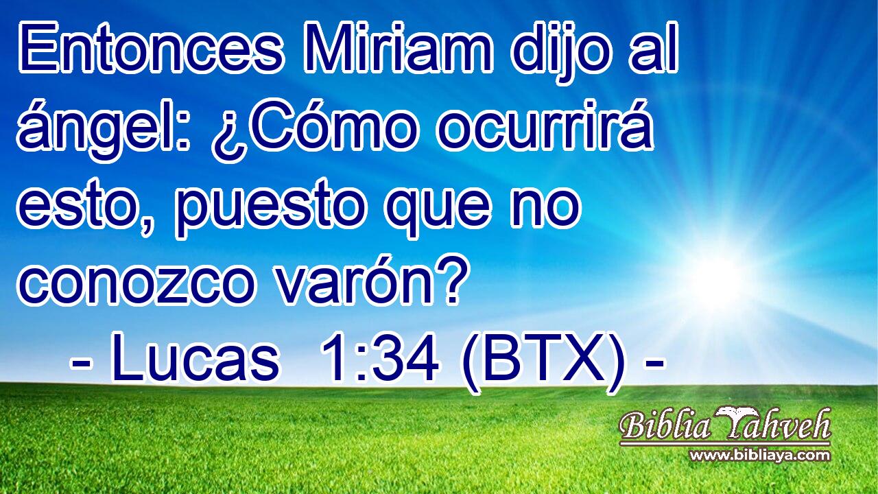 Entonces Miriam dijo al ángel: ¿Cómo ocurrirá esto, puesto que no conozco varón?