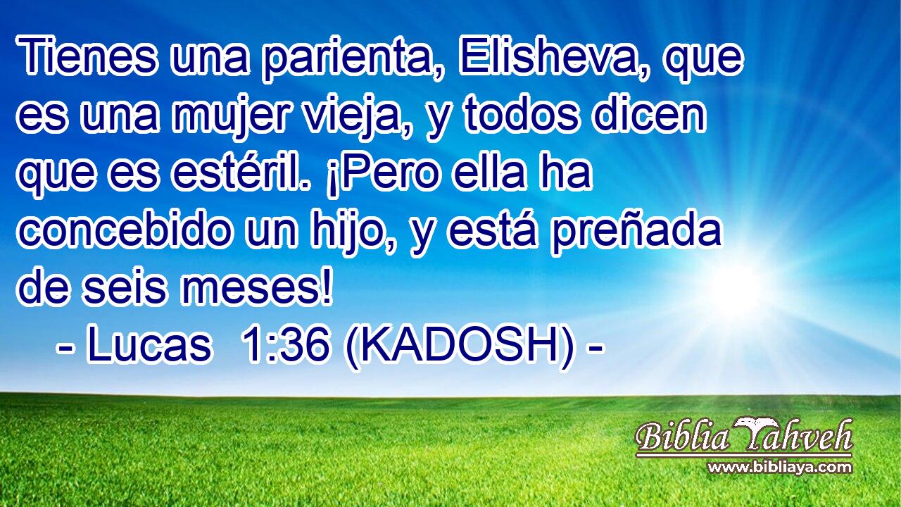  Tienes una parienta, Elisheva, que es una mujer vieja, y todos dicen que es estéril. ¡Pero ella ha concebido un hijo, y está preñada de seis meses! 