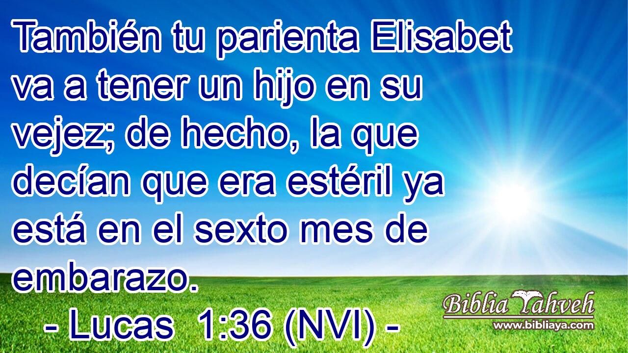  También tu parienta Elisabet va a tener un hijo en su vejez; de hecho, la que decían que era estéril ya está en el sexto mes de embarazo. 