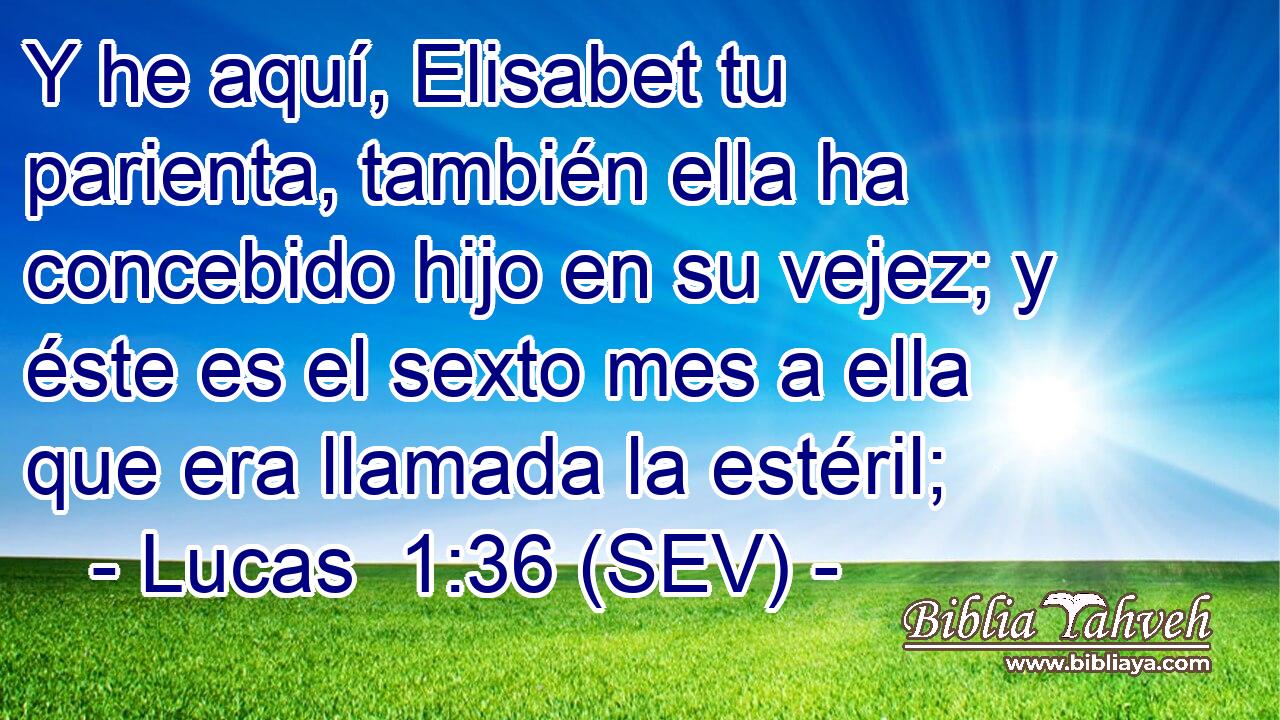 Y he aquí, Elisabet tu parienta, también ella ha concebido hijo en su vejez; y éste es el sexto mes a ella que era llamada la estéril;