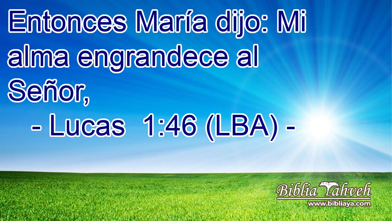 Entonces María dijo: Mi alma engrandece al Señor,