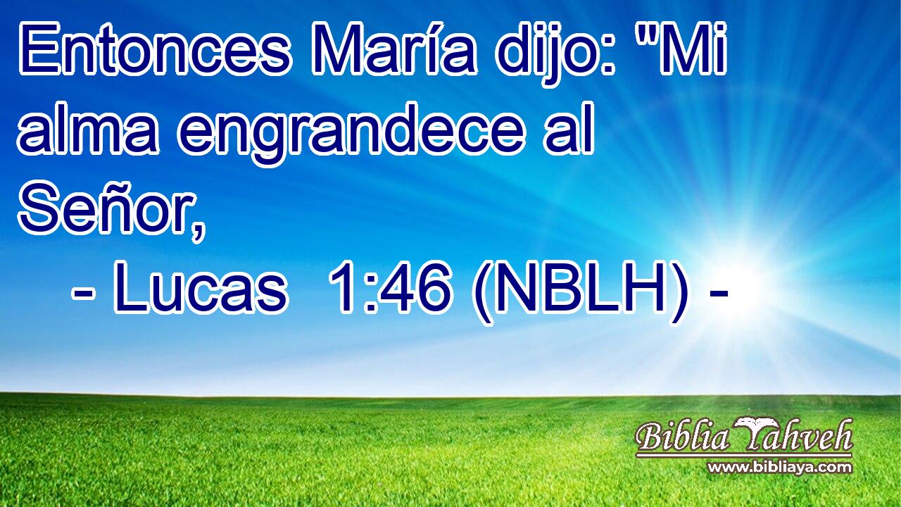 Entonces María dijo: 