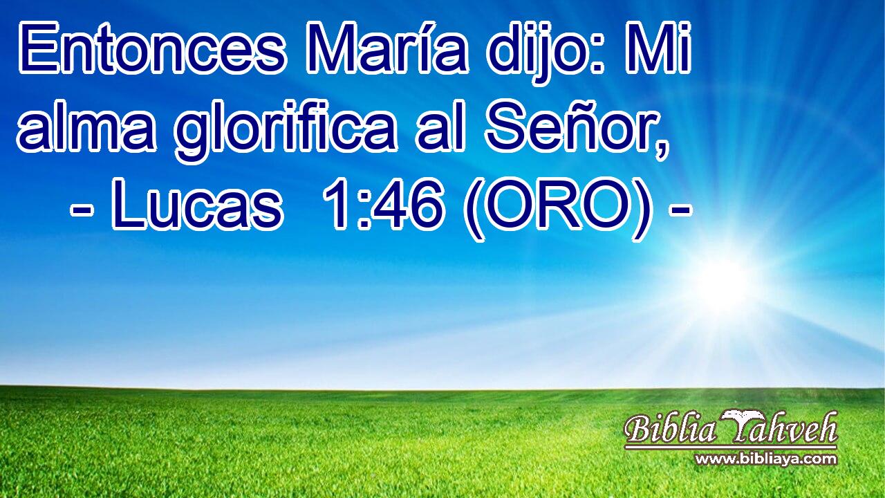  Entonces María dijo: Mi alma glorifica al Señor, 
