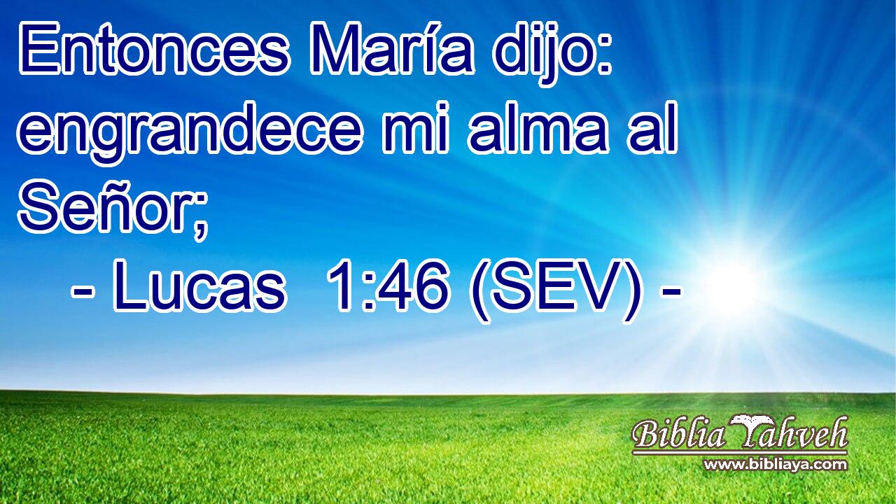 Entonces María dijo: engrandece mi alma al Señor;