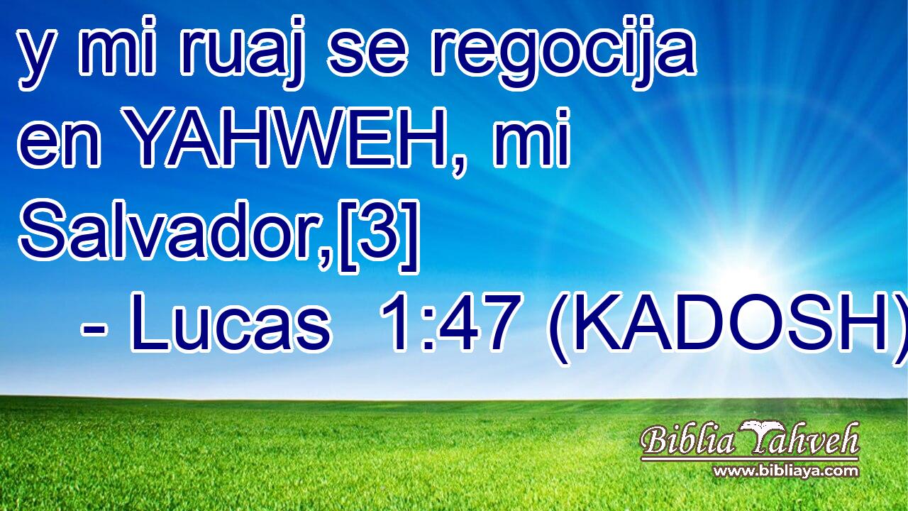  y mi ruaj se regocija en YAHWEH, mi Salvador,[3] 