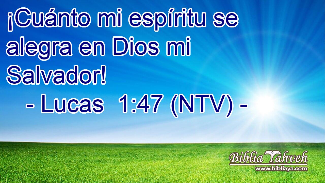 ¡Cuánto mi espíritu se alegra en Dios mi Salvador!