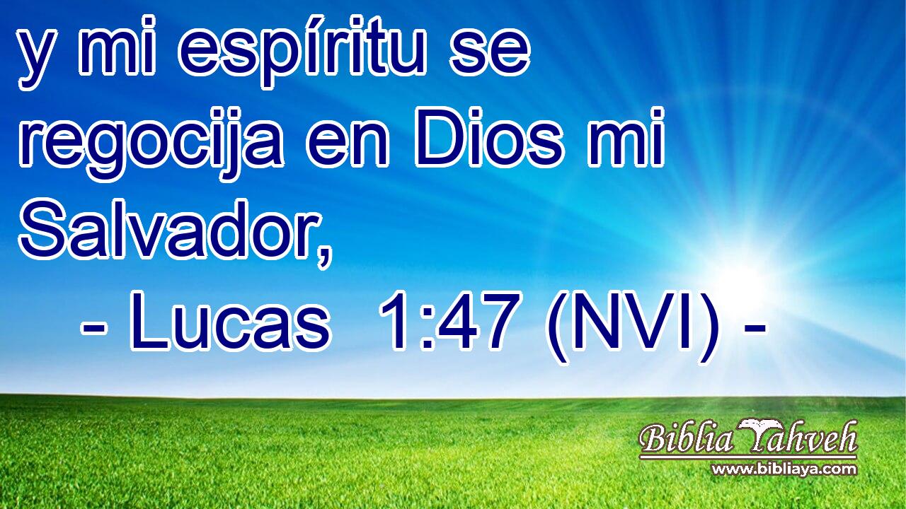  y mi espíritu se regocija en Dios mi Salvador, 