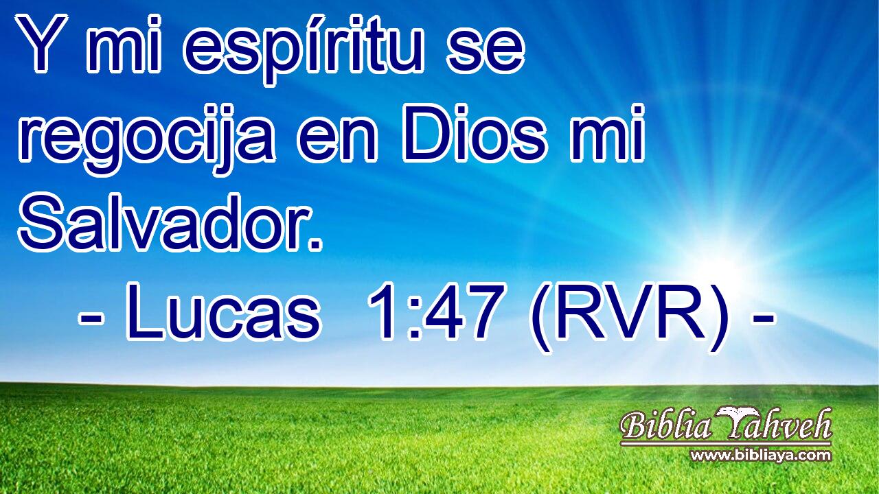 Y mi espíritu se regocija en Dios mi Salvador.