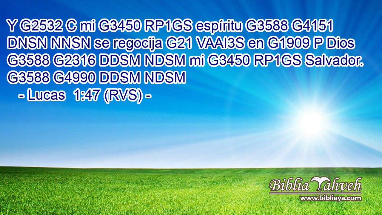 Y G2532 C mi G3450 RP1GS espíritu G3588 G4151 DNSN NNSN se regocija G21 VAAI3S en G1909 P Dios G3588 G2316 DDSM NDSM mi G3450 RP1GS Salvador. G3588 G4990 DDSM NDSM 