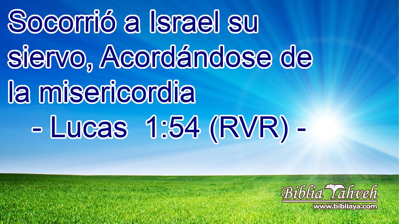 Socorrió a Israel su siervo, Acordándose de la misericordia