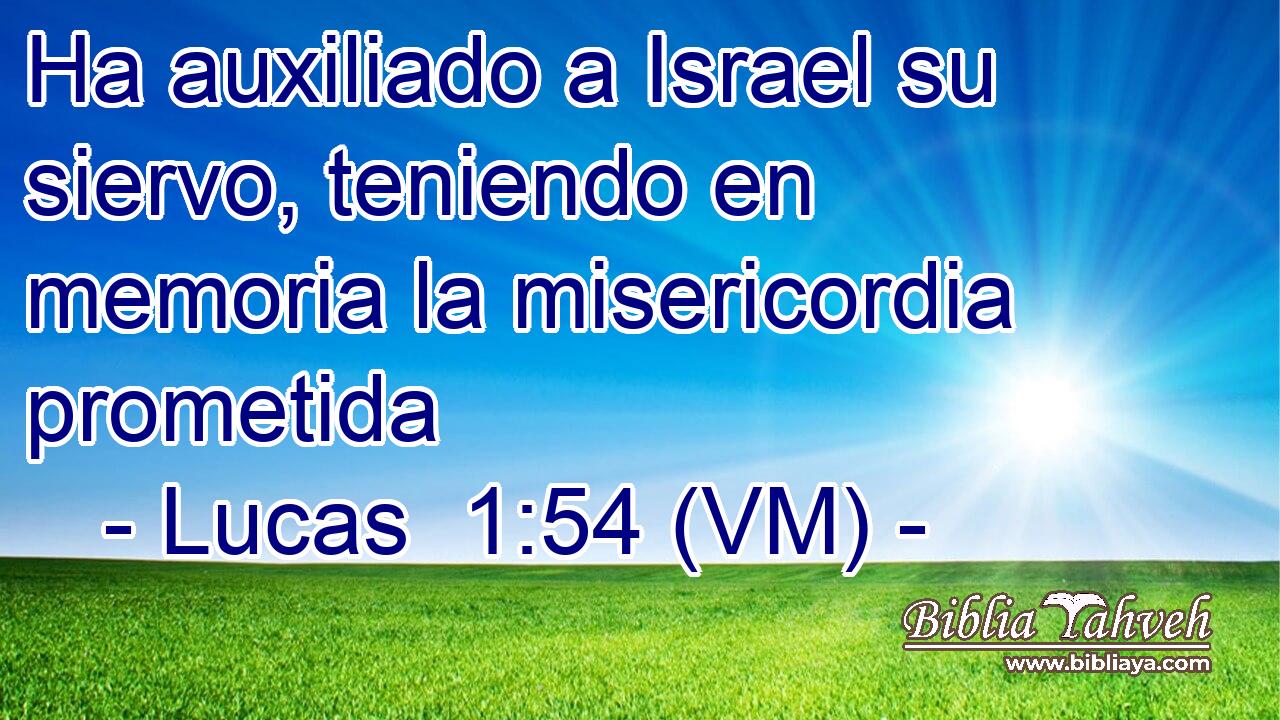  Ha auxiliado a Israel su siervo, teniendo en memoria la misericordia prometida 
