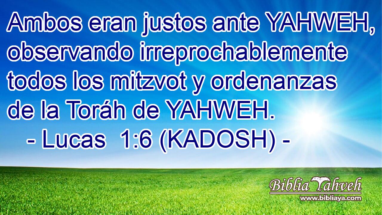 Ambos eran justos ante YAHWEH, observando irreprochablemente todos los mitzvot y ordenanzas de la Toráh de YAHWEH. 