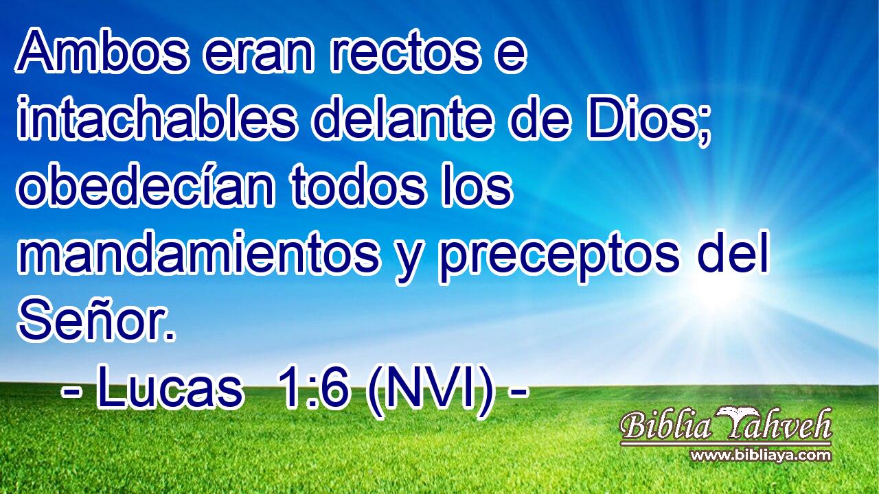  Ambos eran rectos e intachables delante de Dios; obedecían todos los mandamientos y preceptos del Señor. 
