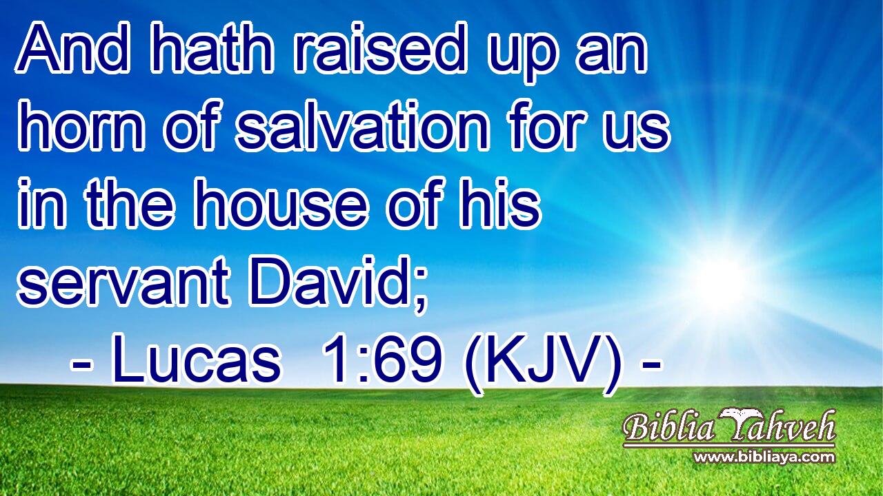 And hath raised up an horn of salvation for us in the house of his servant David;