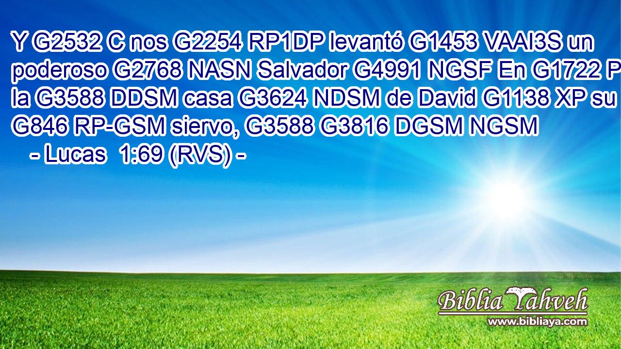 Y G2532 C nos G2254 RP1DP levantó G1453 VAAI3S un poderoso G2768 NASN Salvador G4991 NGSF En G1722 P la G3588 DDSM casa G3624 NDSM de David G1138 XP su G846 RP-GSM siervo, G3588 G3816 DGSM NGSM 