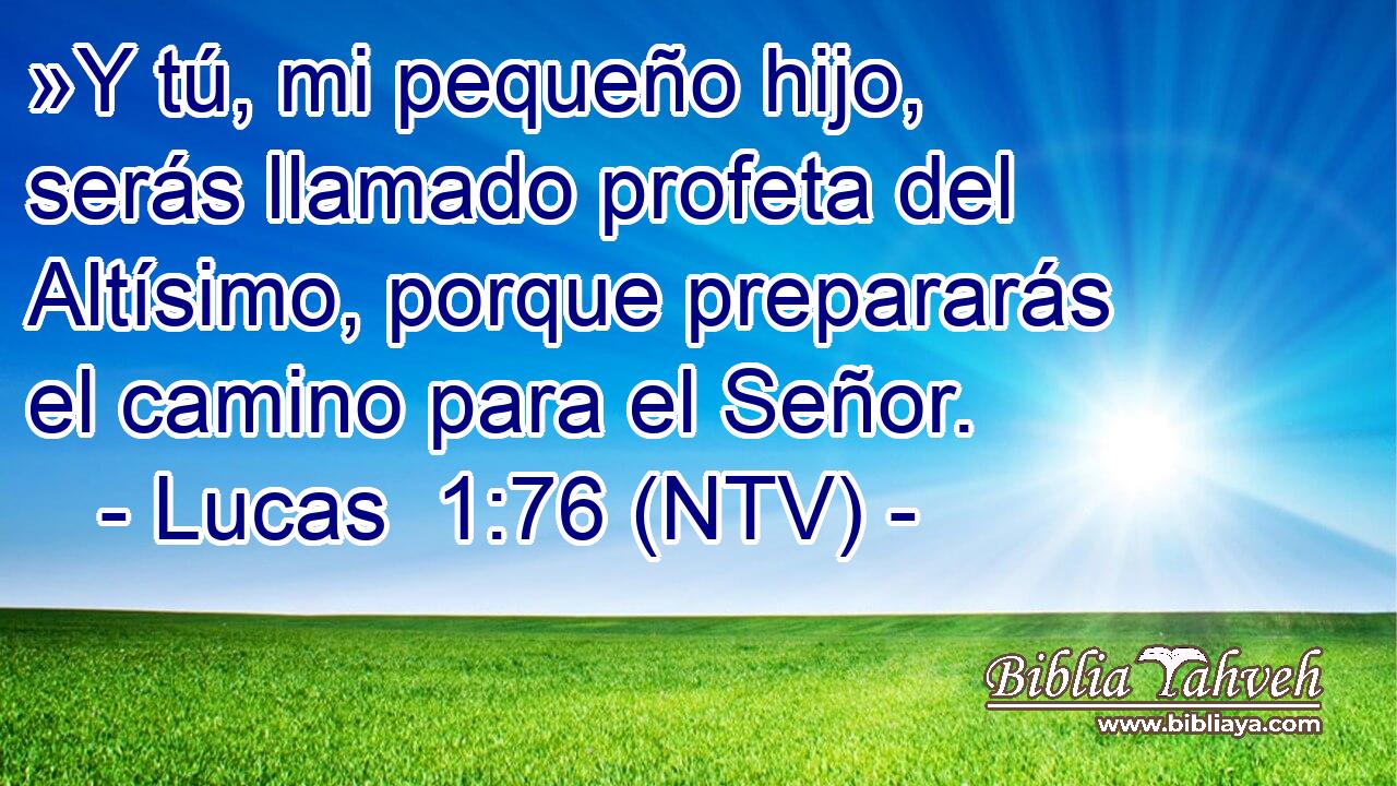 »Y tú, mi pequeño hijo, serás llamado profeta del Altísimo, porque prepararás el camino para el Señor.