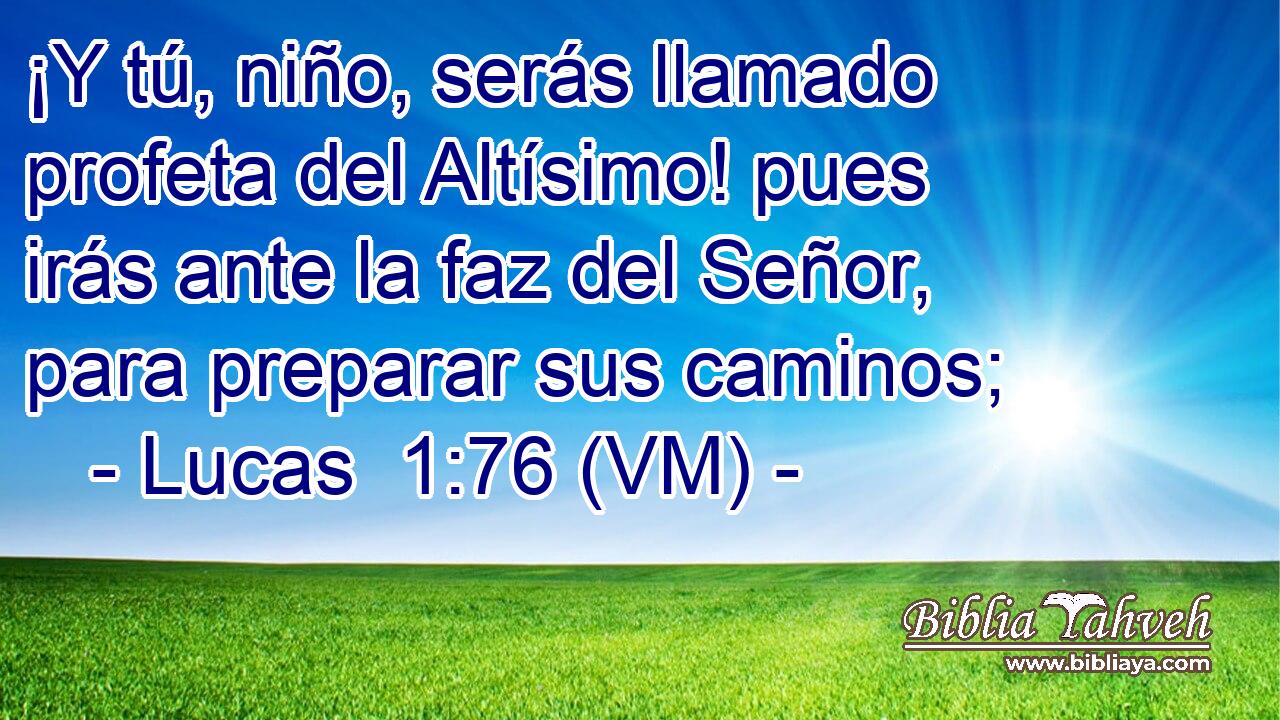  ¡Y tú, niño, serás llamado profeta del Altísimo! pues irás ante la faz del Señor, para preparar sus caminos; 