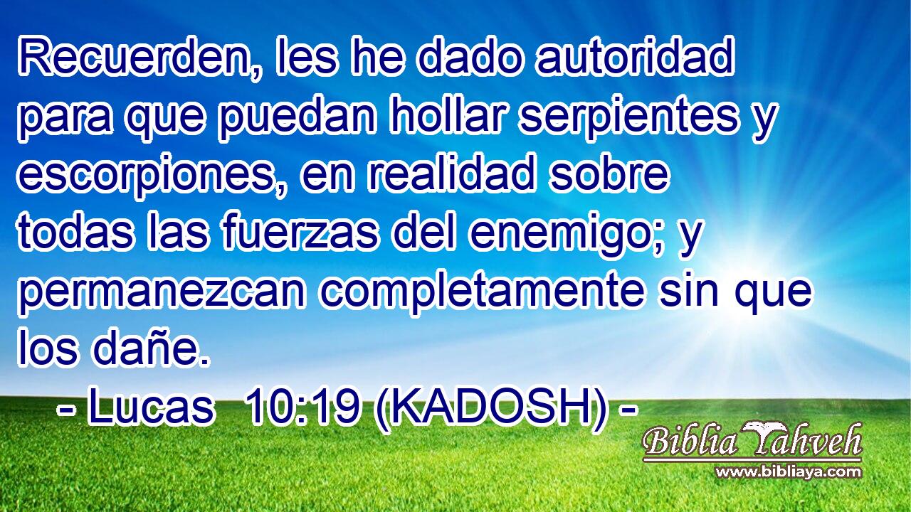  Recuerden, les he dado autoridad para que puedan hollar serpientes y escorpiones, en realidad sobre todas las fuerzas del enemigo; y permanezcan completamente sin que los dañe. 