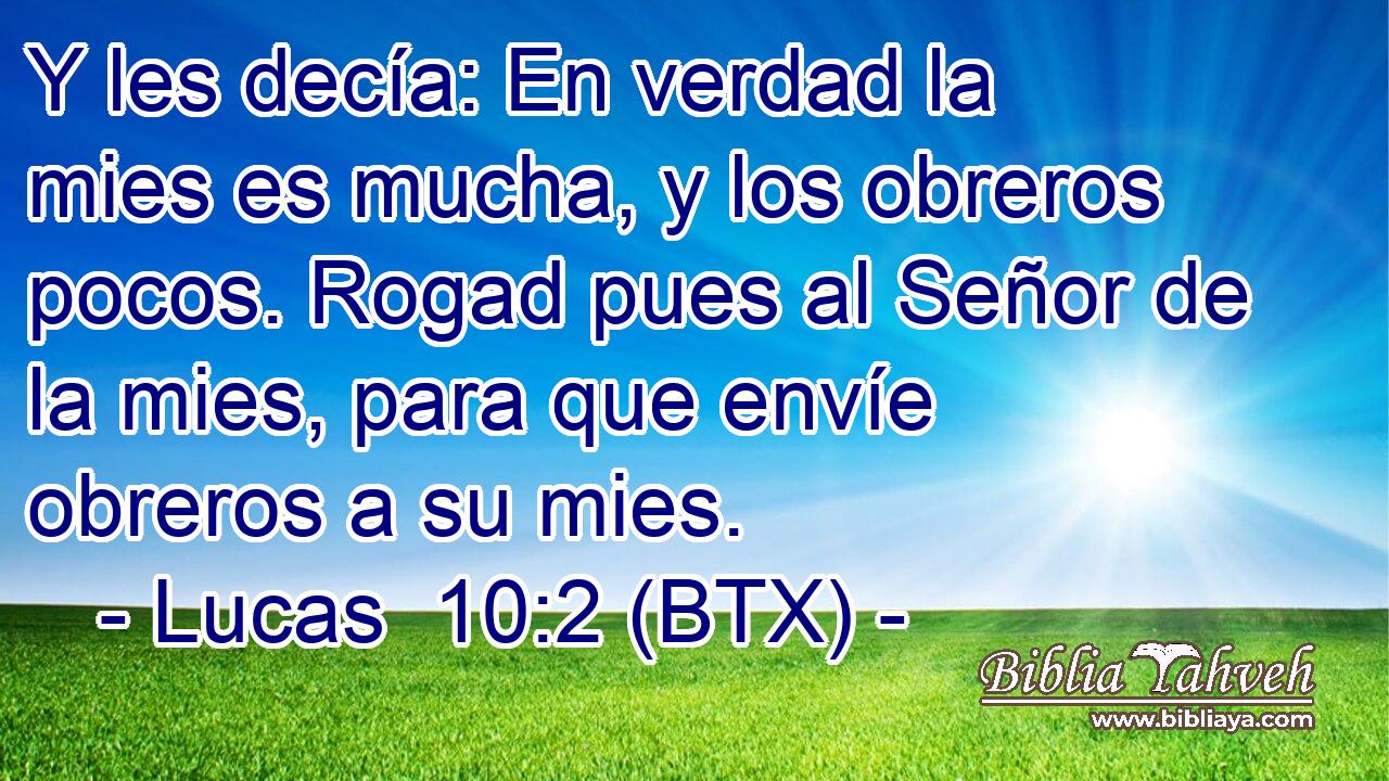Y les decía: En verdad la mies es mucha, y los obreros pocos. Rogad pues al Señor de la mies, para que envíe obreros a su mies.