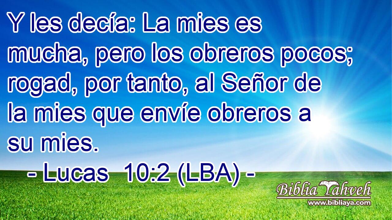 Y les decía: La mies es mucha, pero los obreros pocos; rogad, por tanto, al Señor de la mies que envíe obreros a su mies.