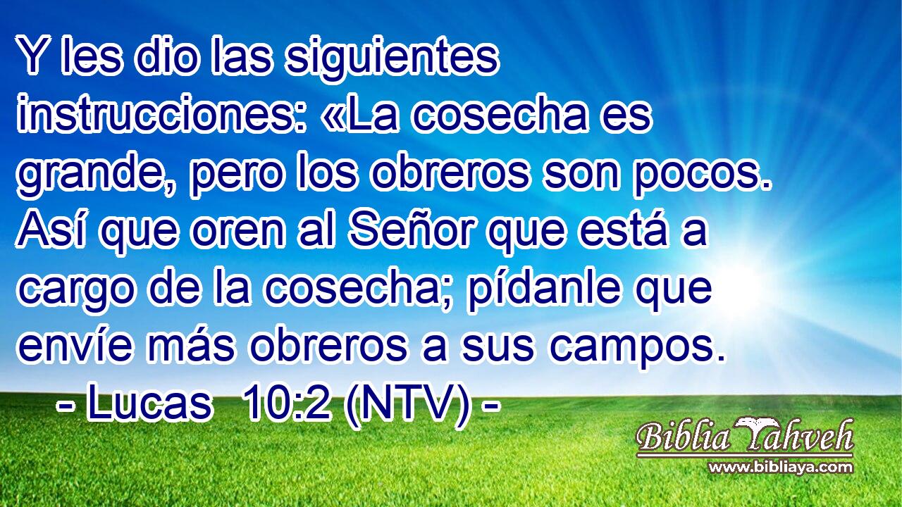 Y les dio las siguientes instrucciones: «La cosecha es grande, pero los obreros son pocos. Así que oren al Señor que está a cargo de la cosecha; pídanle que envíe más obreros a sus campos.