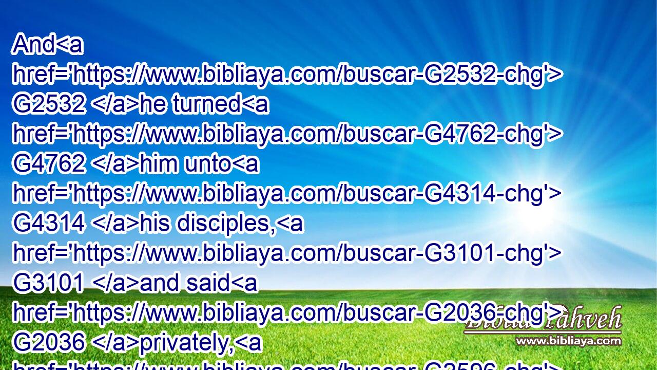 And G2532 he turned G4762 him unto G4314 his disciples, G3101 and said G2036 privately, G2596  G2398 Blessed G3107 are the G3588 eyes G3788 which see G991 the things that G3739 ye see:G991