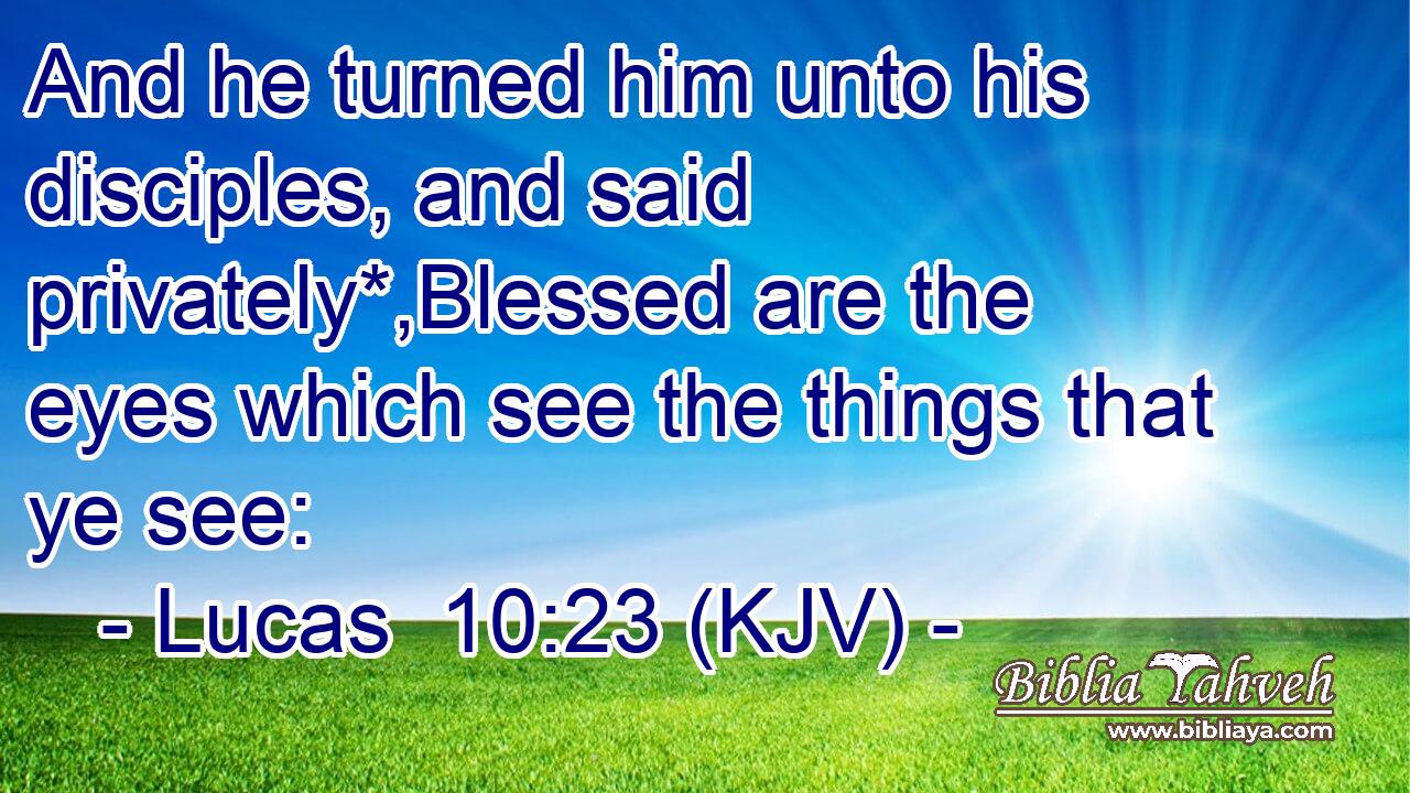 And he turned him unto his disciples, and said privately*,Blessed are the eyes which see the things that ye see: