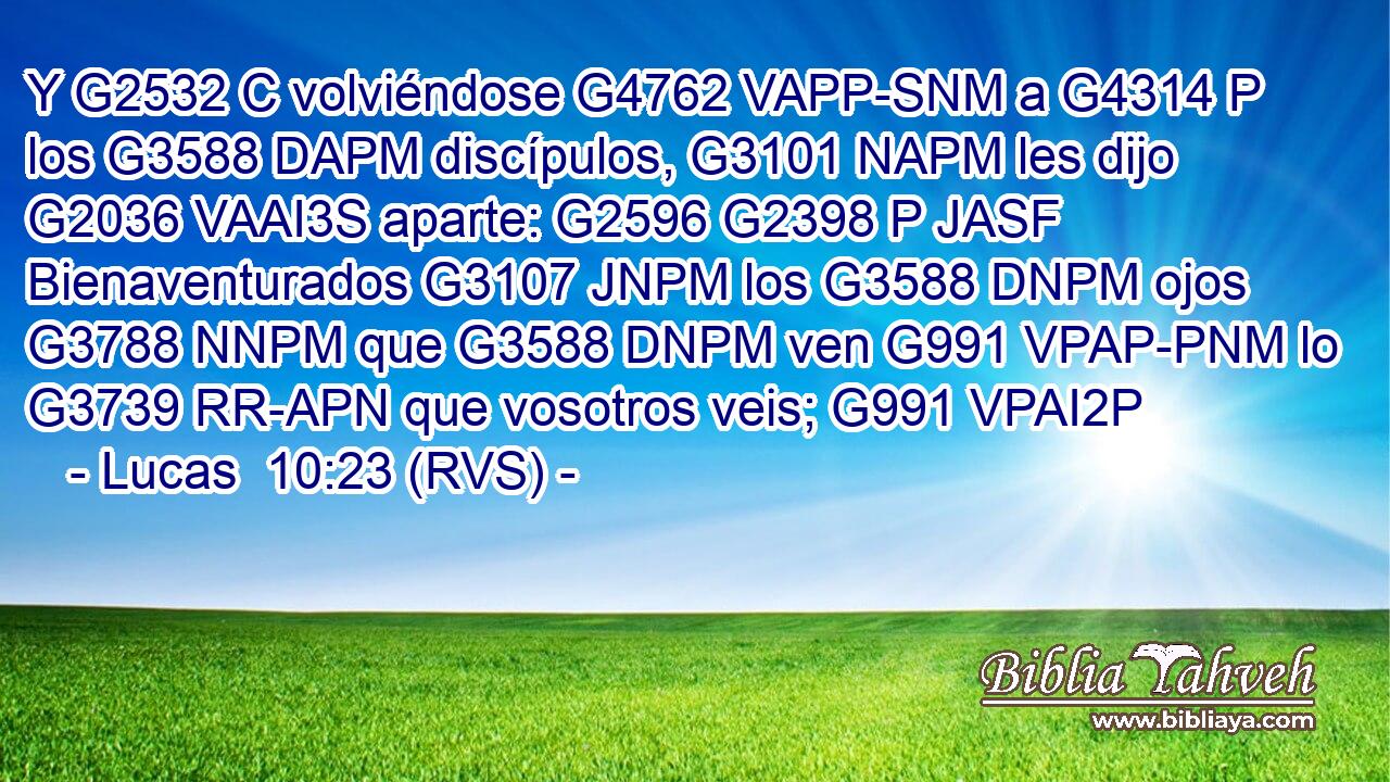 Y G2532 C volviéndose G4762 VAPP-SNM a G4314 P los G3588 DAPM discípulos, G3101 NAPM les dijo G2036 VAAI3S aparte: G2596 G2398 P JASF Bienaventurados G3107 JNPM los G3588 DNPM ojos G3788 NNPM que G3588 DNPM ven G991 VPAP-PNM lo G3739 RR-APN que vosotros veis; G991 VPAI2P 