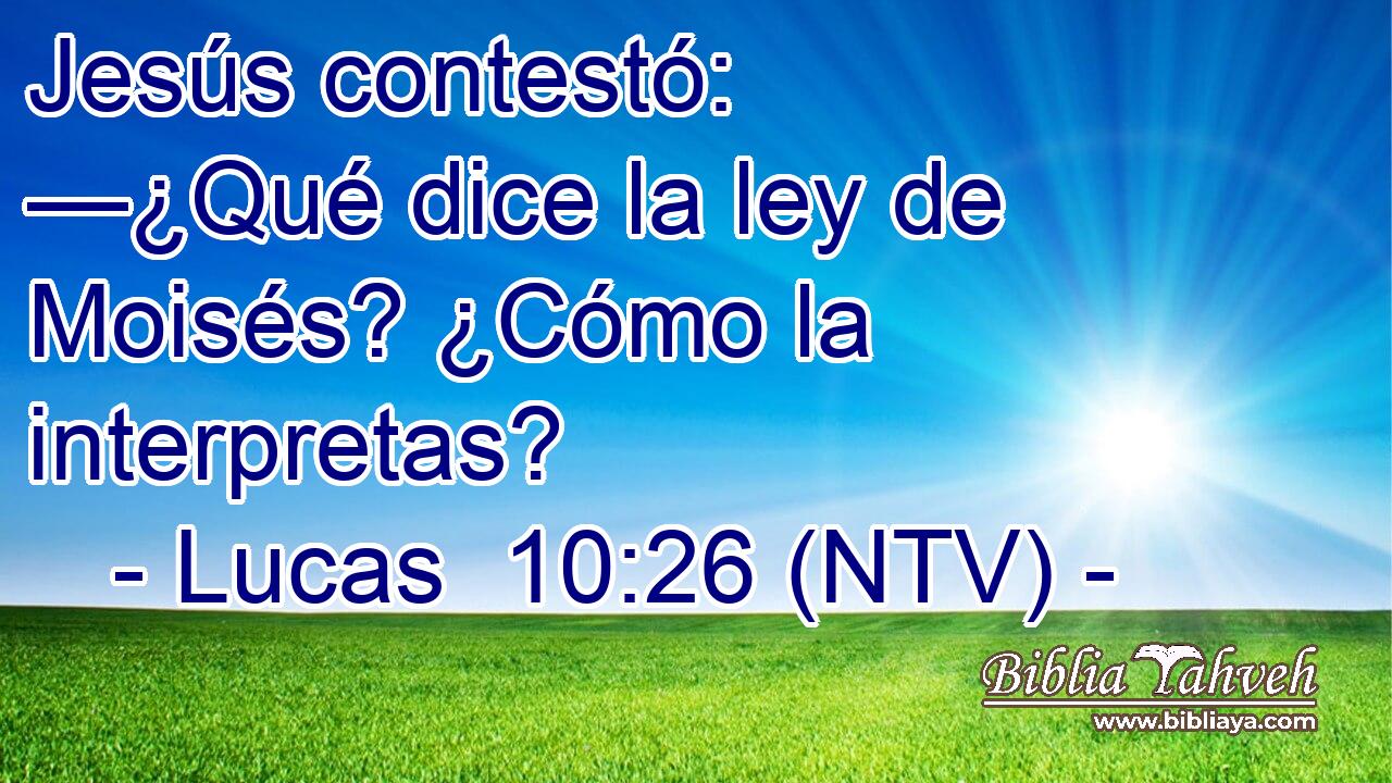 Jesús contestó: —¿Qué dice la ley de Moisés? ¿Cómo la interpretas?