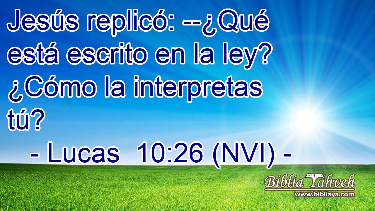  Jesús replicó: --¿Qué está escrito en la ley? ¿Cómo la interpretas tú? 