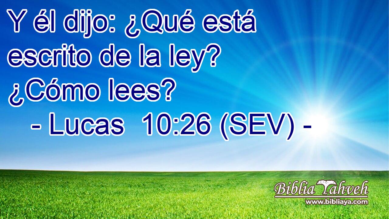 Y él dijo: ¿Qué está escrito de la ley? ¿Cómo lees?