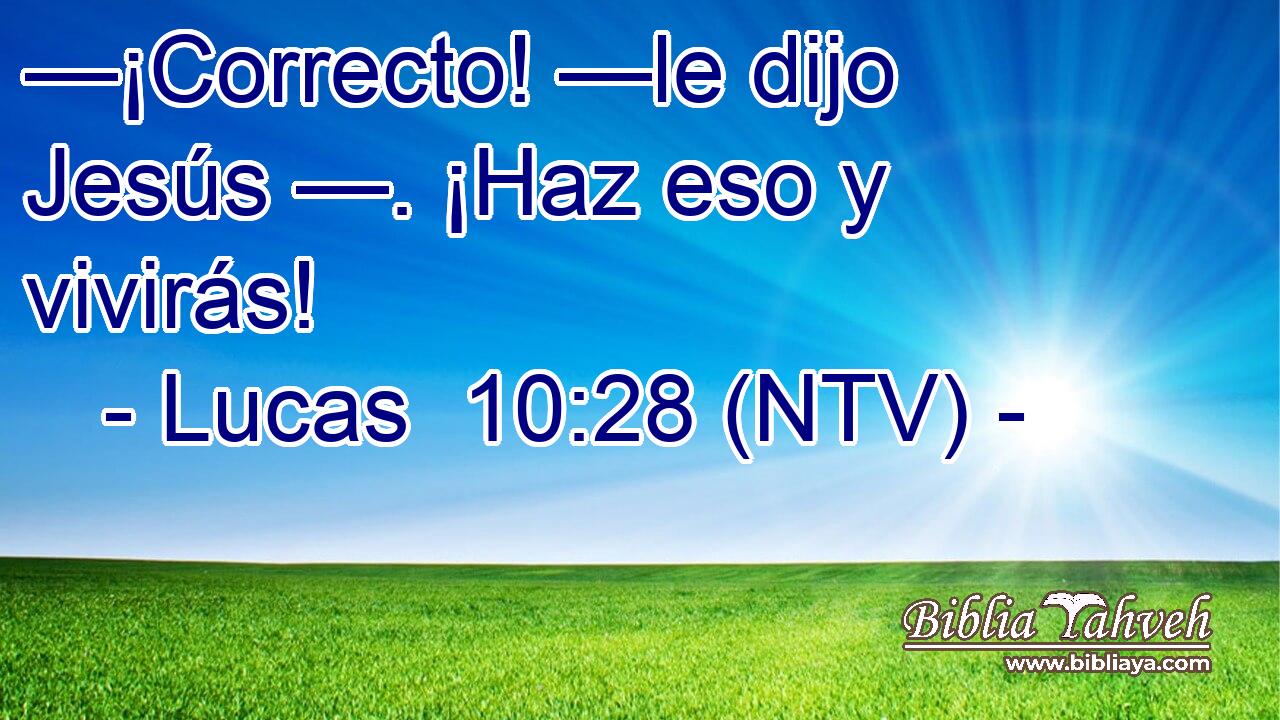 —¡Correcto! —le dijo Jesús —. ¡Haz eso y vivirás!