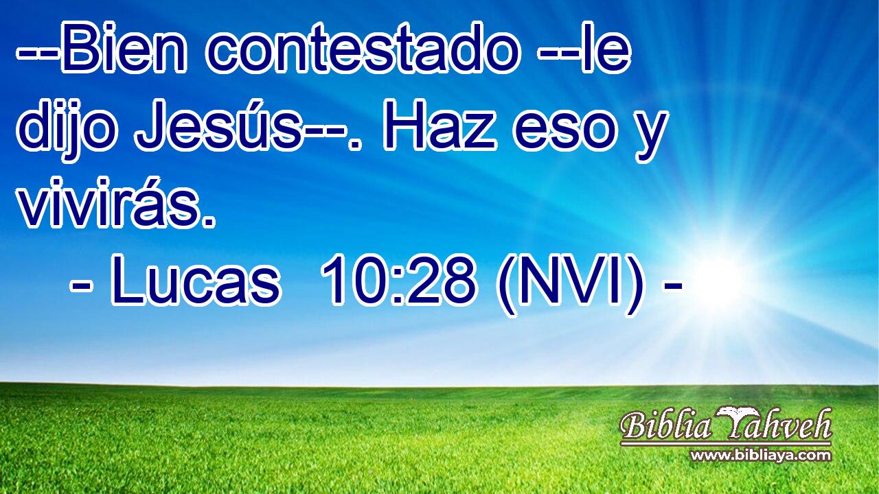 --Bien contestado --le dijo Jesús--. Haz eso y vivirás. 