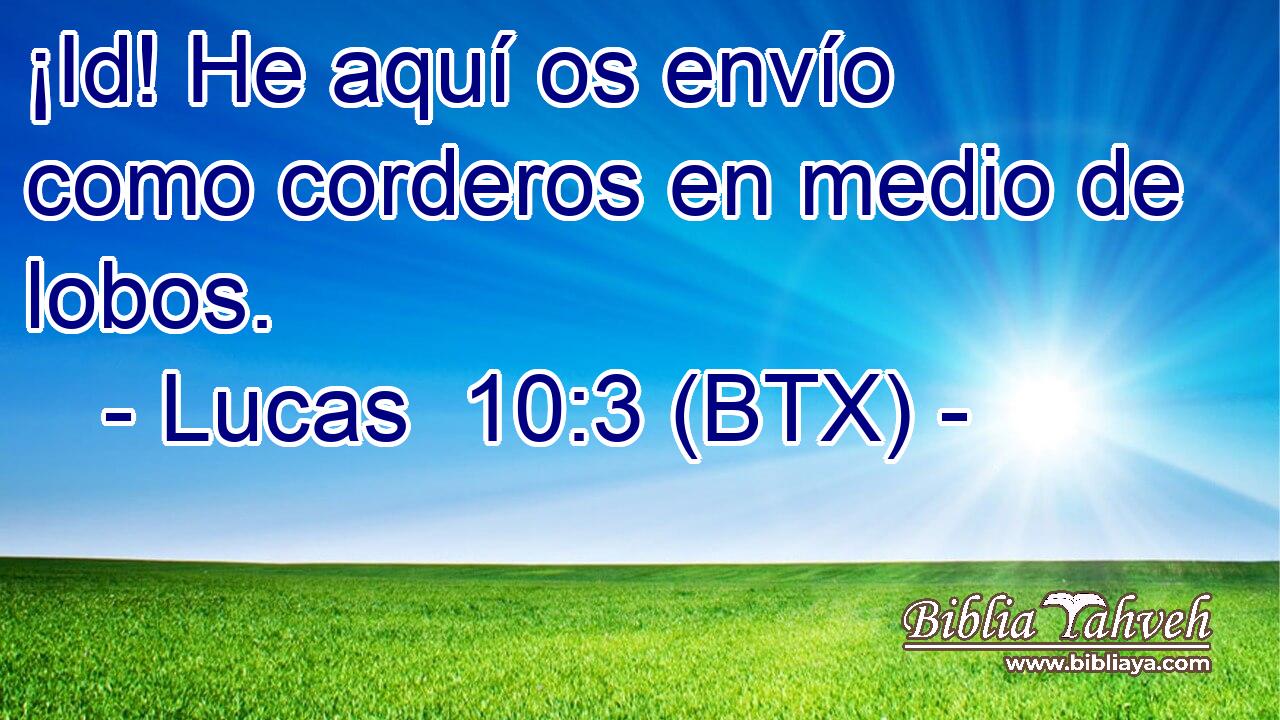 ¡Id! He aquí os envío como corderos en medio de lobos.