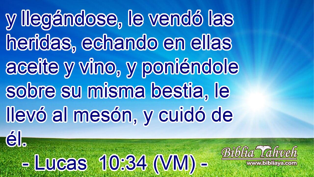  y llegándose, le vendó las heridas, echando en ellas aceite y vino, y poniéndole sobre su misma bestia, le llevó al mesón, y cuidó de él. 