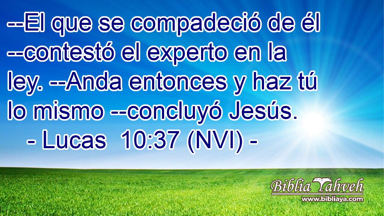  --El que se compadeció de él --contestó el experto en la ley. --Anda entonces y haz tú lo mismo --concluyó Jesús. 