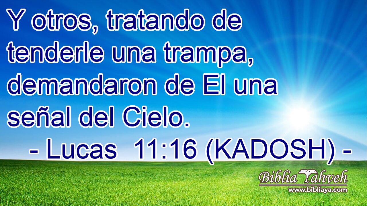  Y otros, tratando de tenderle una trampa, demandaron de El una señal del Cielo. 