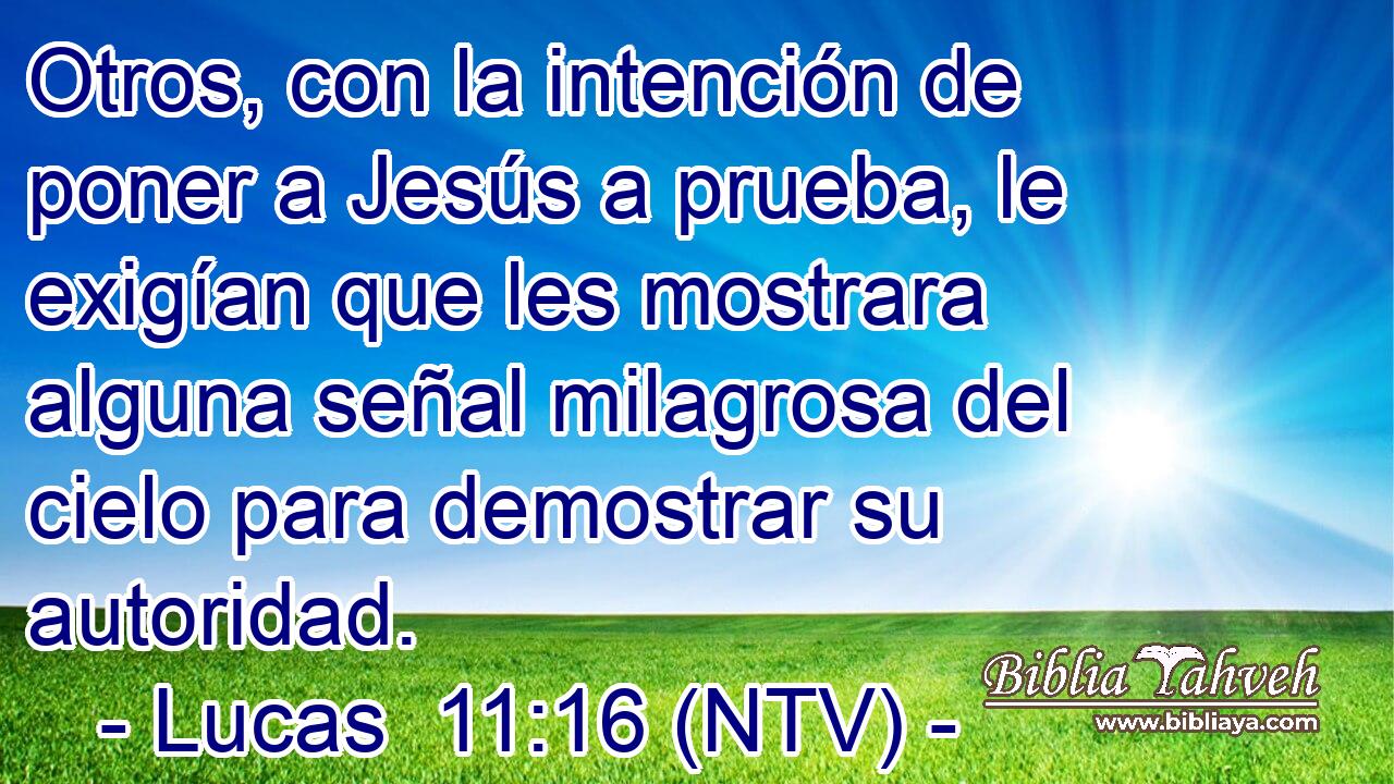 Otros, con la intención de poner a Jesús a prueba, le exigían que les mostrara alguna señal milagrosa del cielo para demostrar su autoridad.
