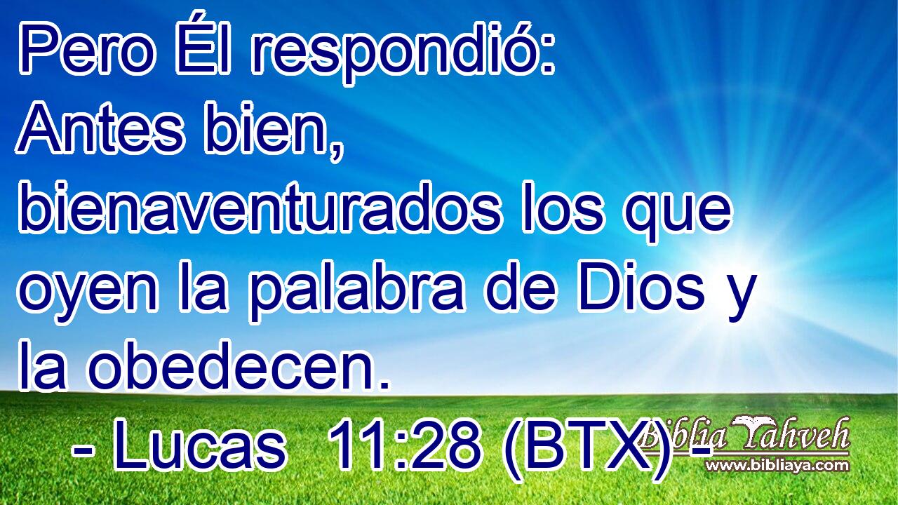 Pero Él respondió: Antes bien, bienaventurados los que oyen la palabra de Dios y la obedecen.