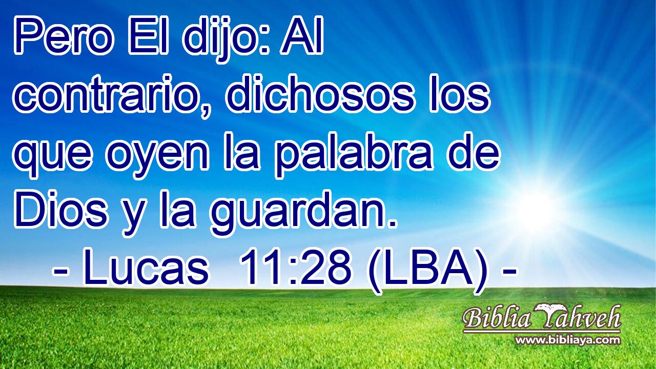 Pero El dijo: Al contrario, dichosos los que oyen la palabra de Dios y la guardan.