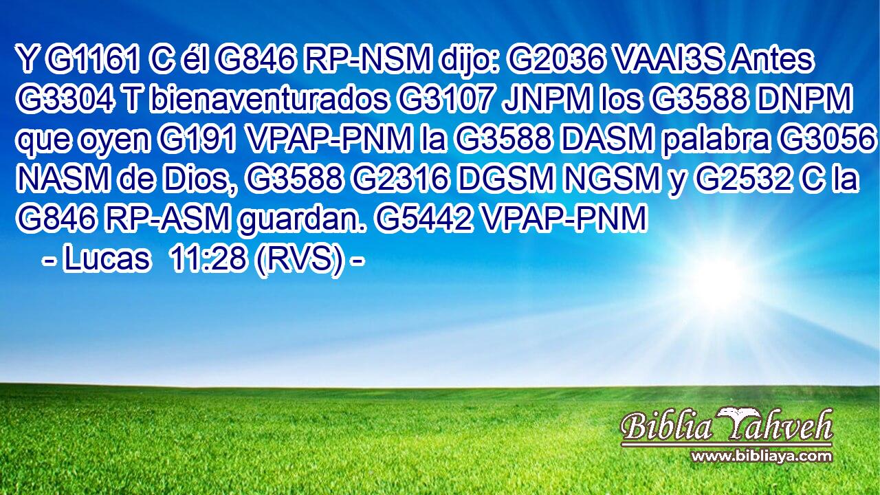 Y G1161 C él G846 RP-NSM dijo: G2036 VAAI3S Antes G3304 T bienaventurados G3107 JNPM los G3588 DNPM que oyen G191 VPAP-PNM la G3588 DASM palabra G3056 NASM de Dios, G3588 G2316 DGSM NGSM y G2532 C la G846 RP-ASM guardan. G5442 VPAP-PNM 