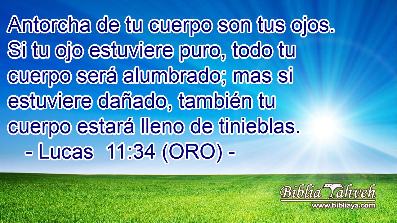  Antorcha de tu cuerpo son tus ojos. Si tu ojo estuviere puro, todo tu cuerpo será alumbrado; mas si estuviere dañado, también tu cuerpo estará lleno de tinieblas. 