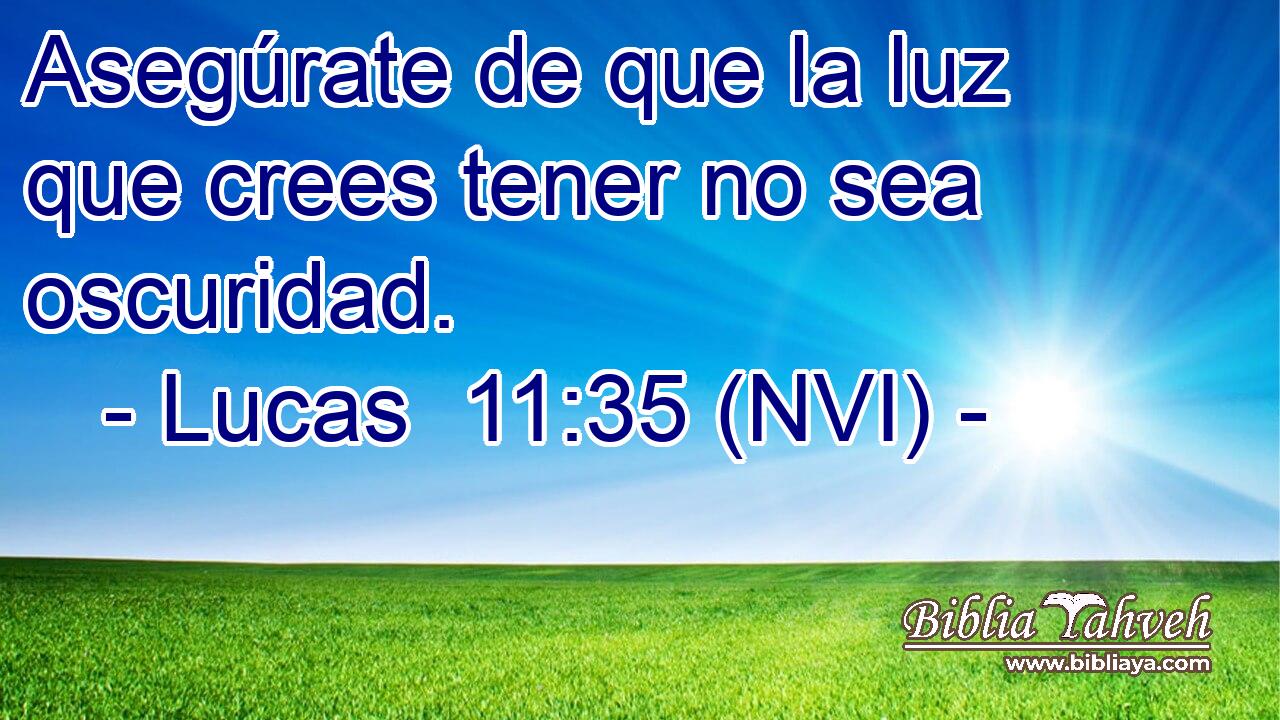  Asegúrate de que la luz que crees tener no sea oscuridad. 