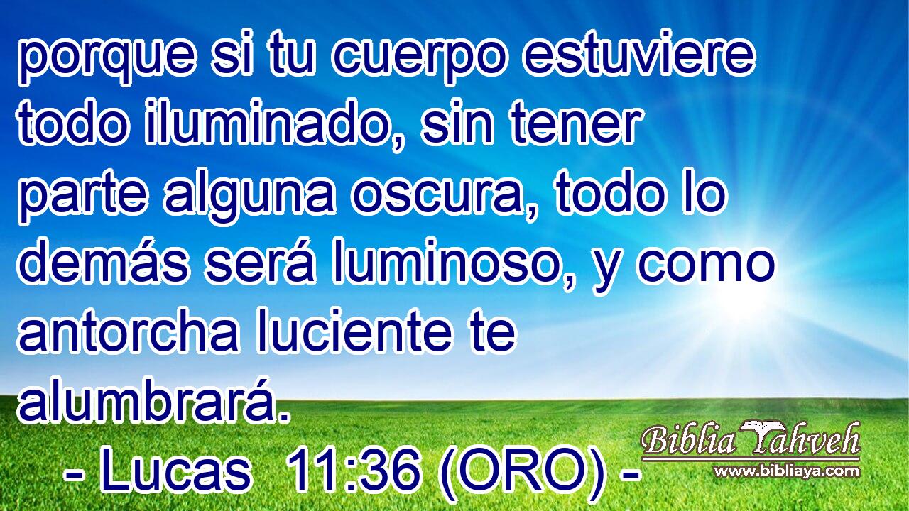  porque si tu cuerpo estuviere todo iluminado, sin tener parte alguna oscura, todo lo demás será luminoso, y como antorcha luciente te alumbrará. 