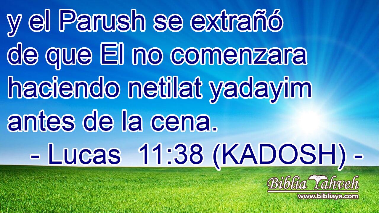  y el Parush se extrañó de que El no comenzara haciendo netilat yadayim antes de la cena. 