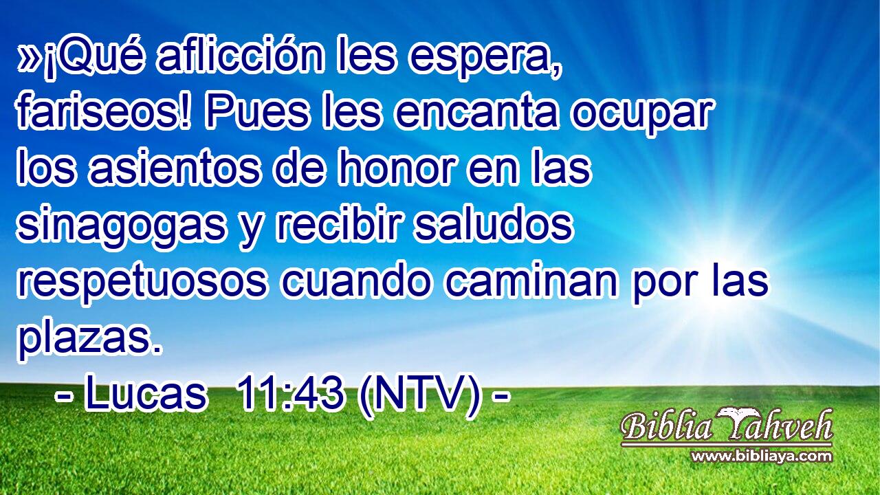 »¡Qué aflicción les espera, fariseos! Pues les encanta ocupar los asientos de honor en las sinagogas y recibir saludos respetuosos cuando caminan por las plazas.