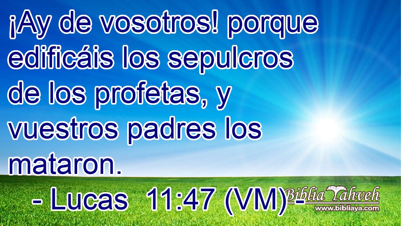  ¡Ay de vosotros! porque edificáis los sepulcros de los profetas, y vuestros padres los mataron. 