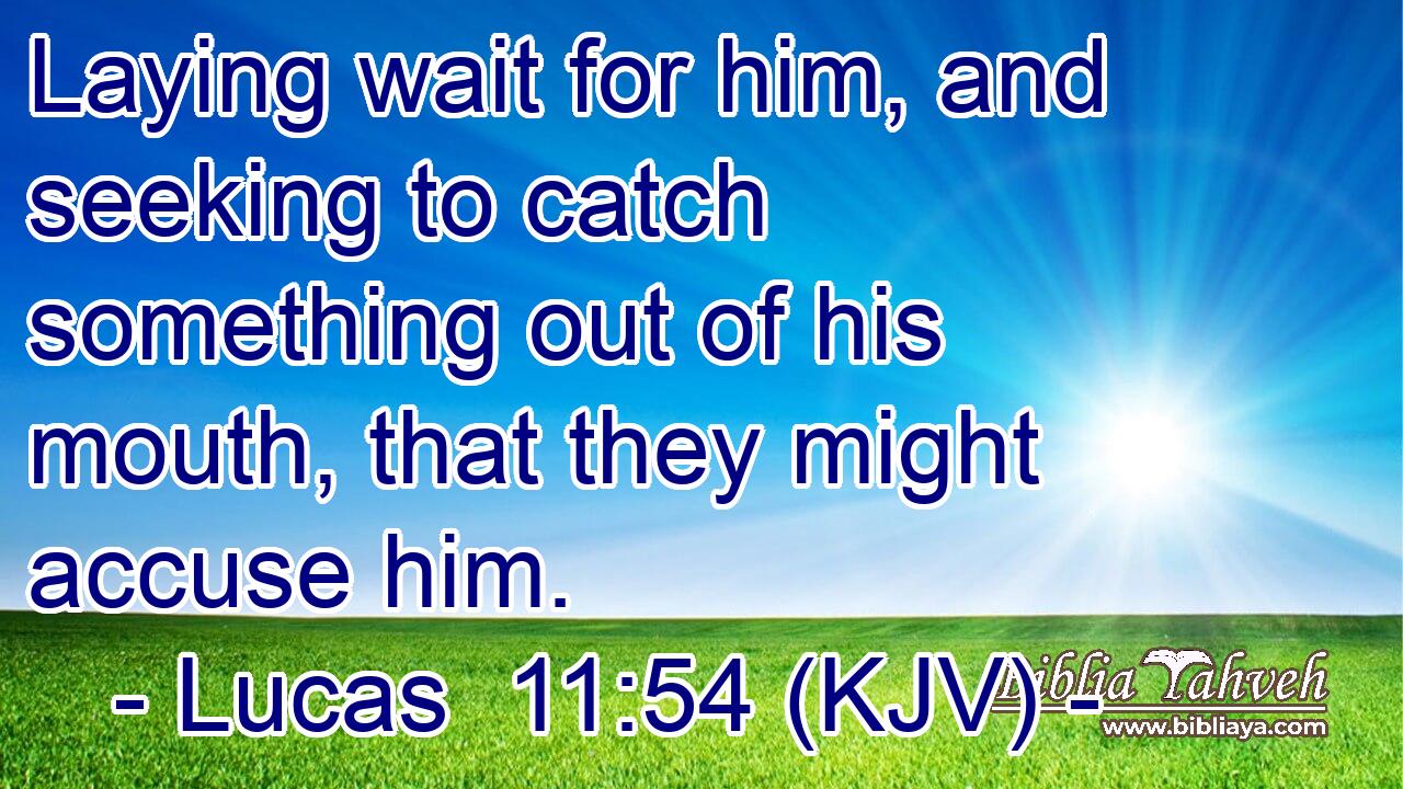 Laying wait for him, and seeking to catch something out of his mouth, that they might accuse him.